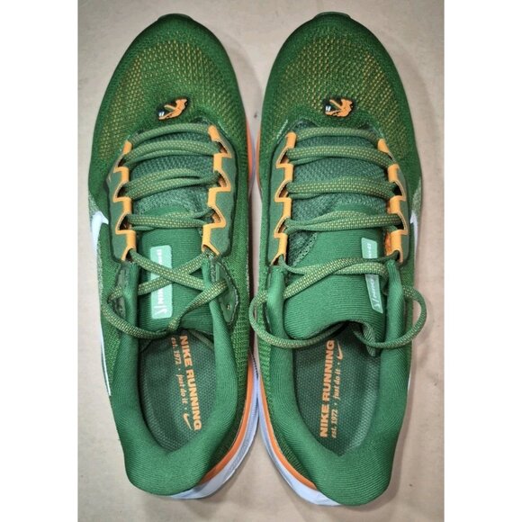NIKE AIR PEGASUS 41 COLLEGE FAMU GREEN MEN\'S Size 10.5 NEW main image 5